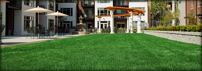 Innovative Grass San Antonio Marcos Austin Selma